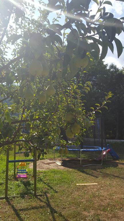 Holiday Home Adna Bihać 外观 照片